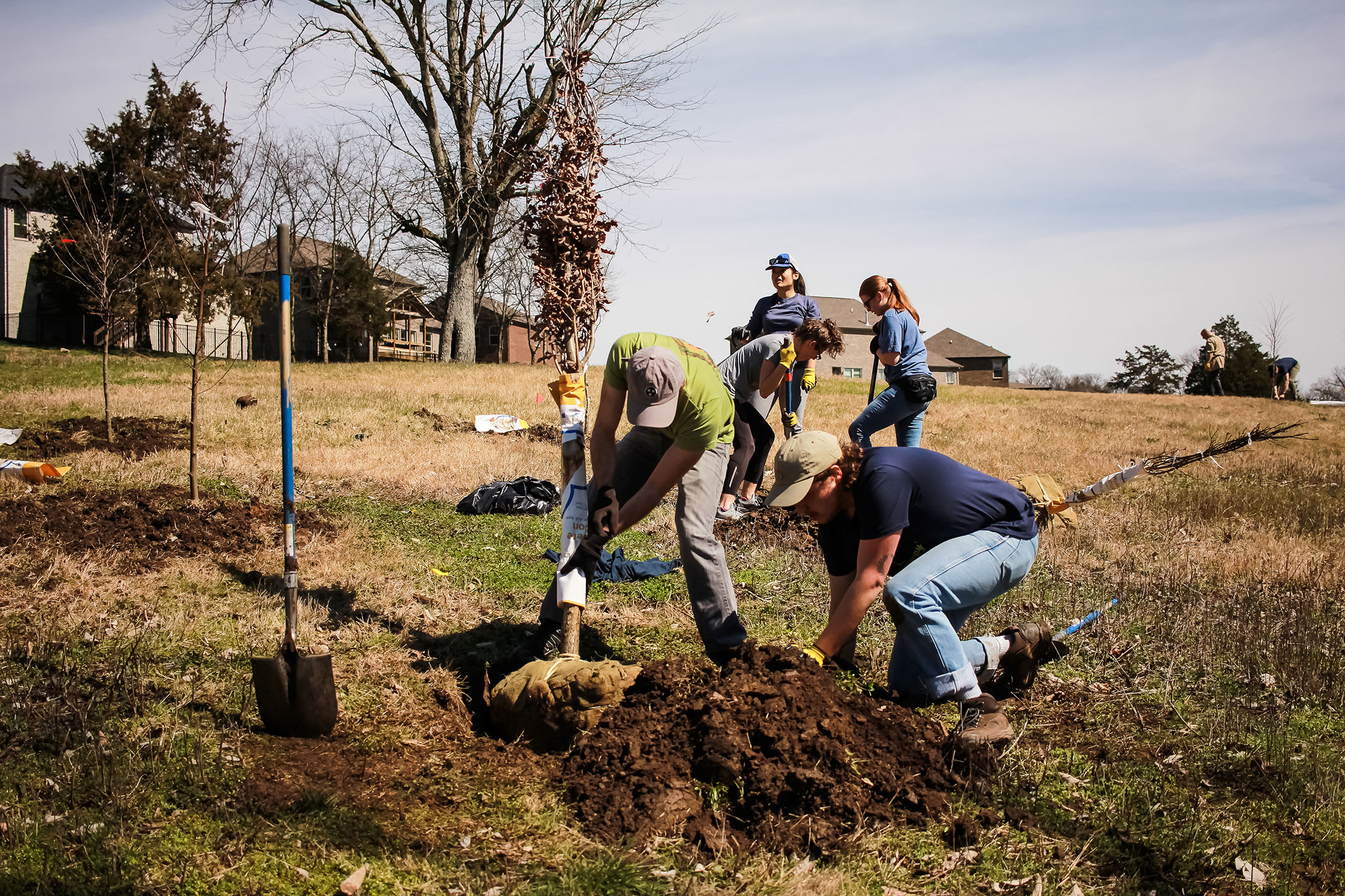 Root Nashville impact